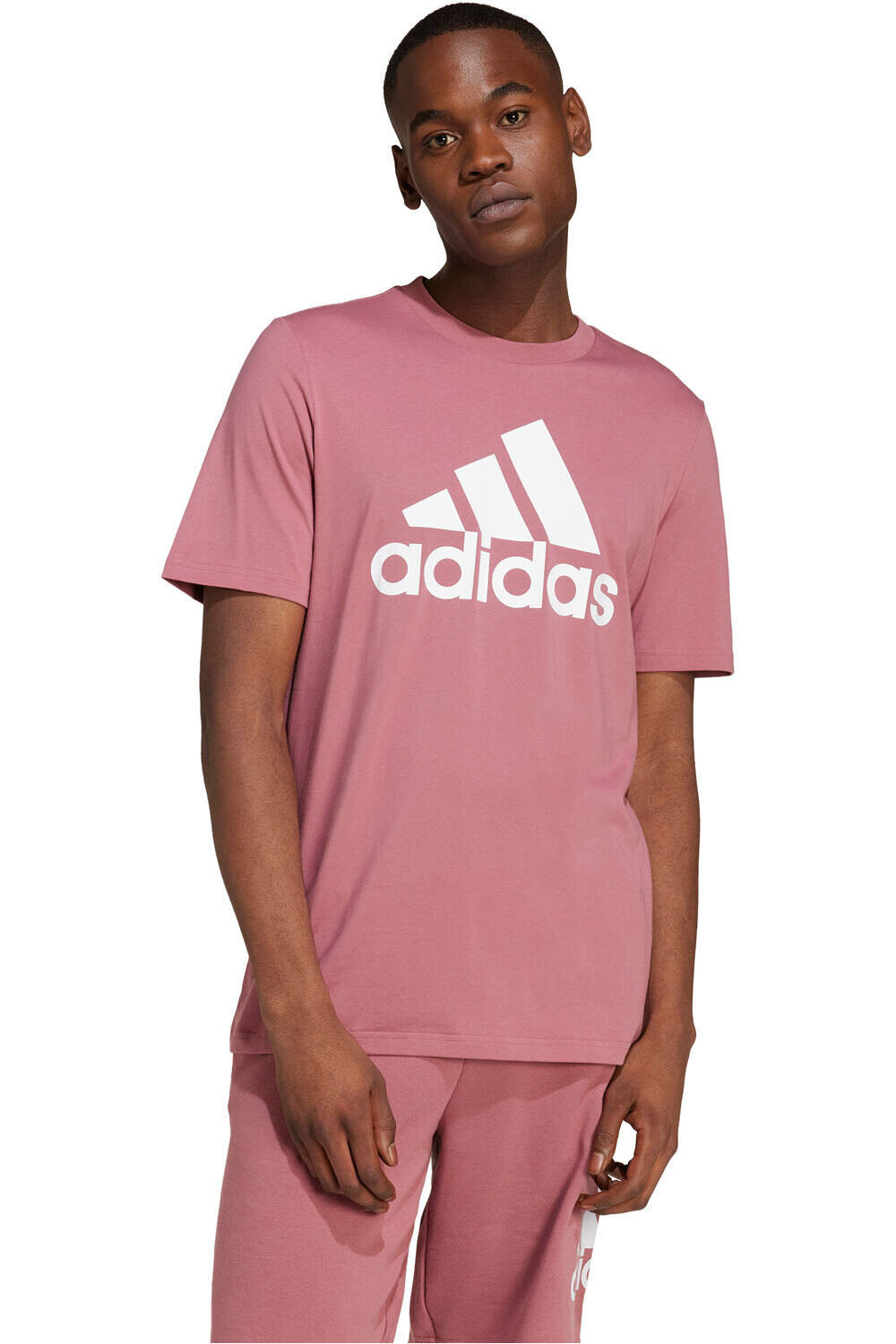 adidas BIG LOGO Camiseta Manga Corta Hombre