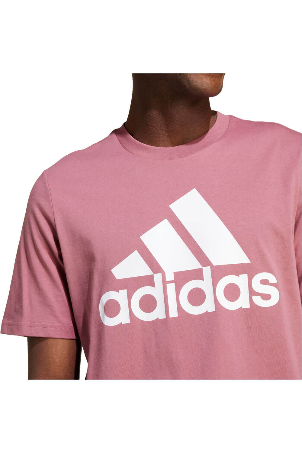adidas BIG LOGO Camiseta Manga Corta Hombre