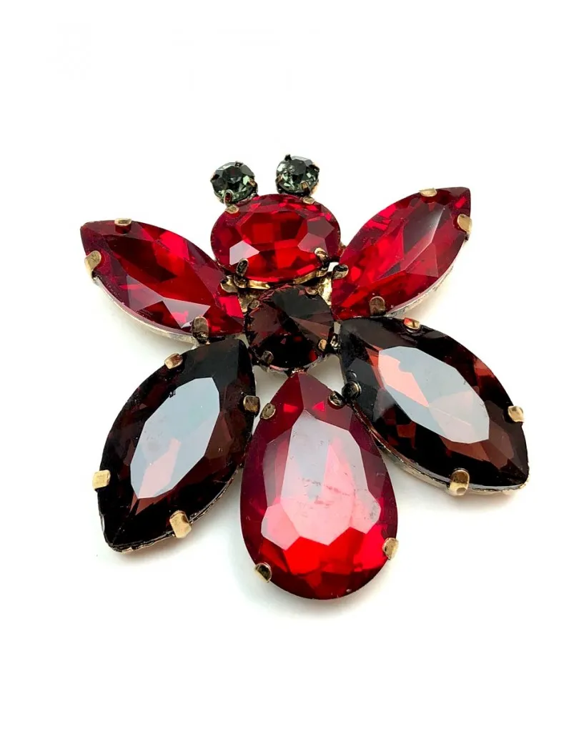 BROCHES DE INSECTOS ROJOS CON PRECIOSO COLORIDO