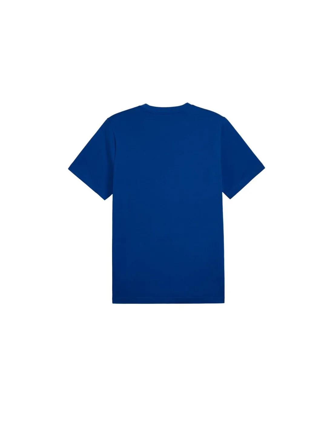 Camiseta Puma Essentials+ PALM RESORT Hombre Azul