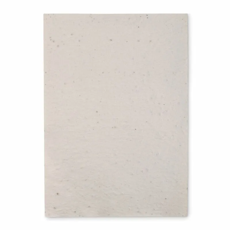 Hoja de papel reciclado con semilla Asidi