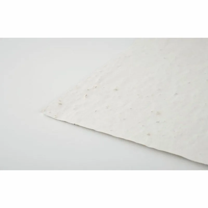 Hoja de papel reciclado con semilla Asidi