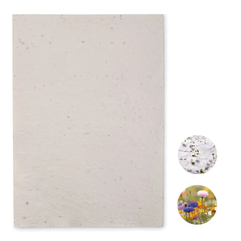 Hoja de papel reciclado con semilla Asidi