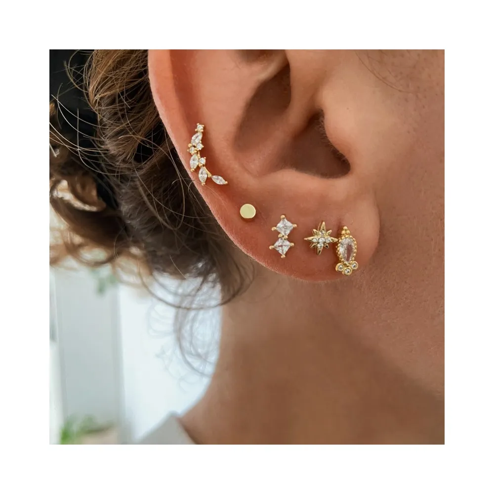 Piercing Brainse